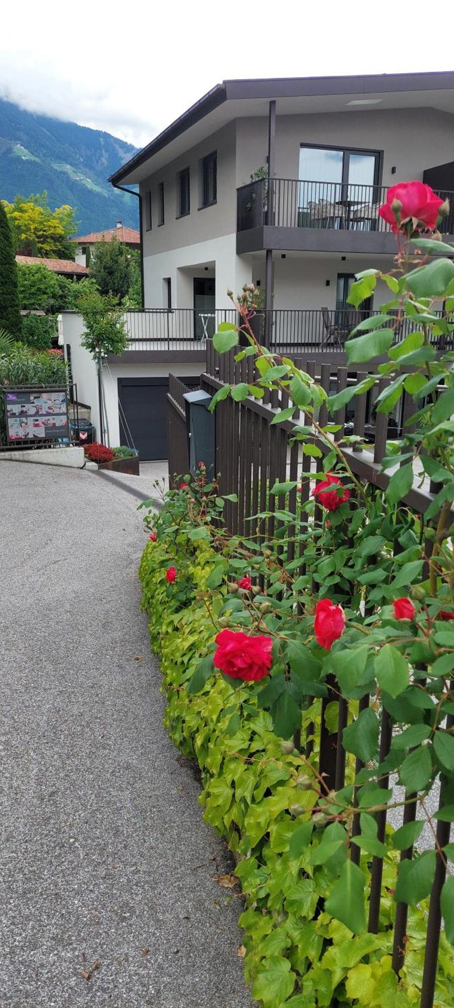 Marlingsuites - Vinea - Wieser Josef - Marling Exteriör bild