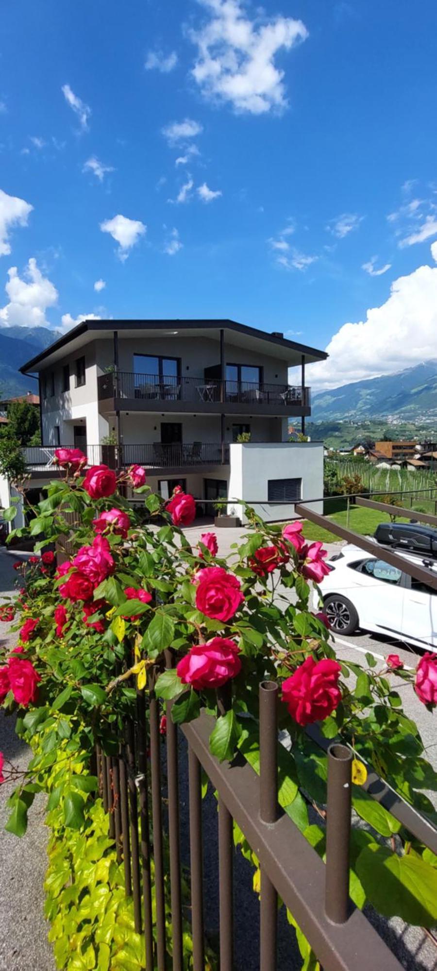 Marlingsuites - Vinea - Wieser Josef - Marling Exteriör bild