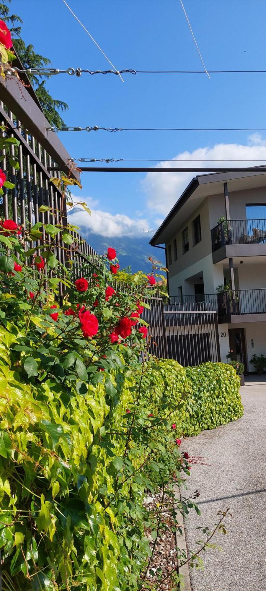 Marlingsuites - Vinea - Wieser Josef - Marling Exteriör bild